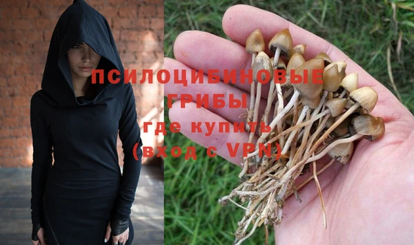 кокаин премиум Белокуриха