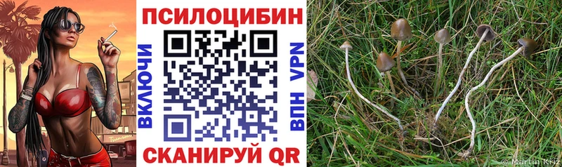 Галлюциногенные грибы Cubensis  где найти наркотики  Троицк 