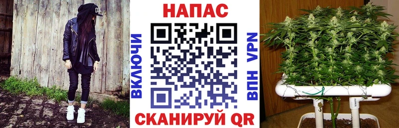 Бошки Шишки гибрид Троицк